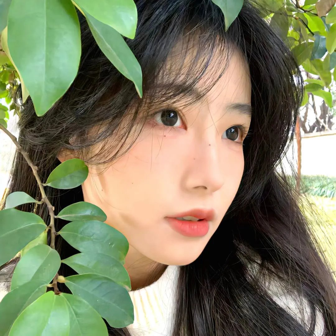 你是猪